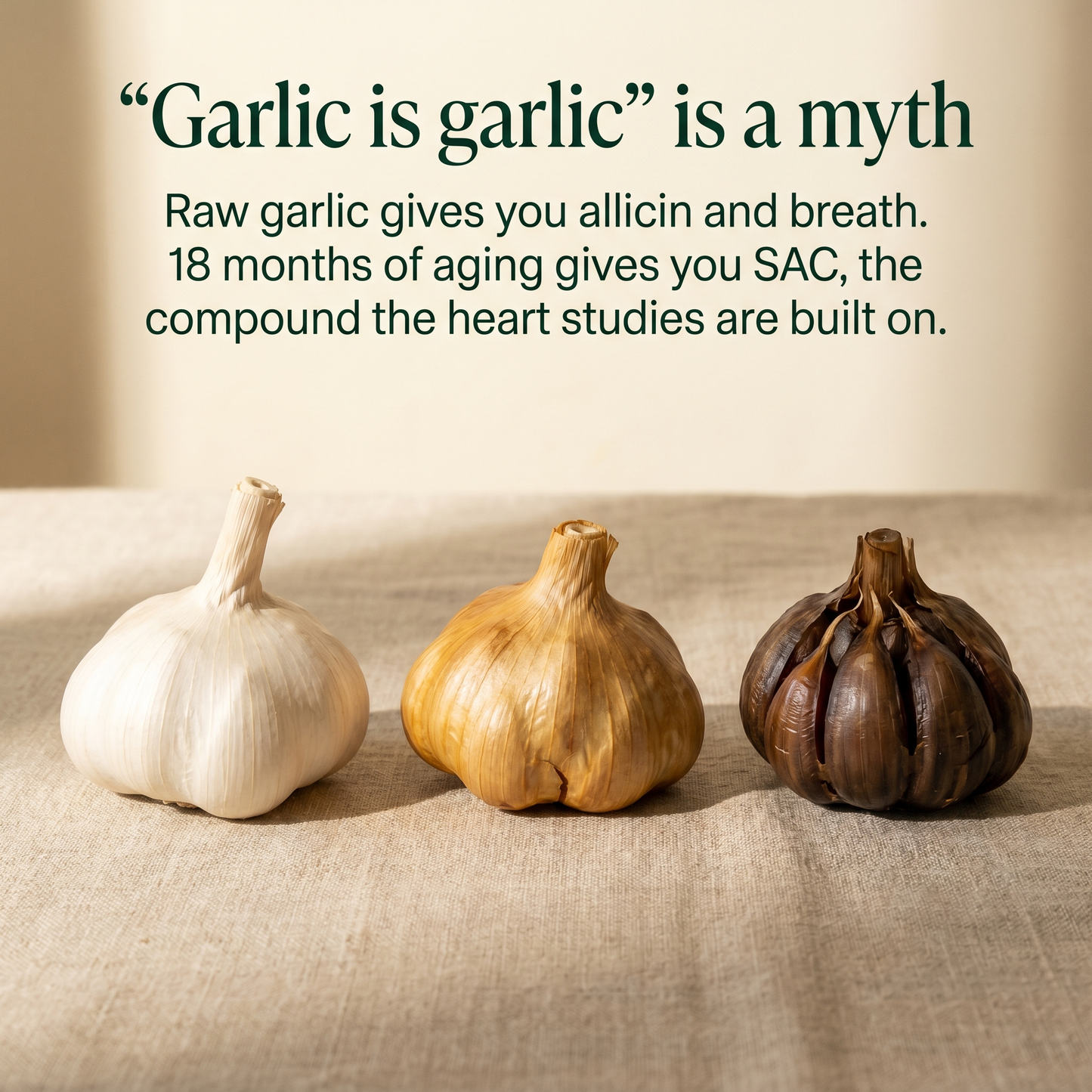 Odorless Aged Garlic Extract